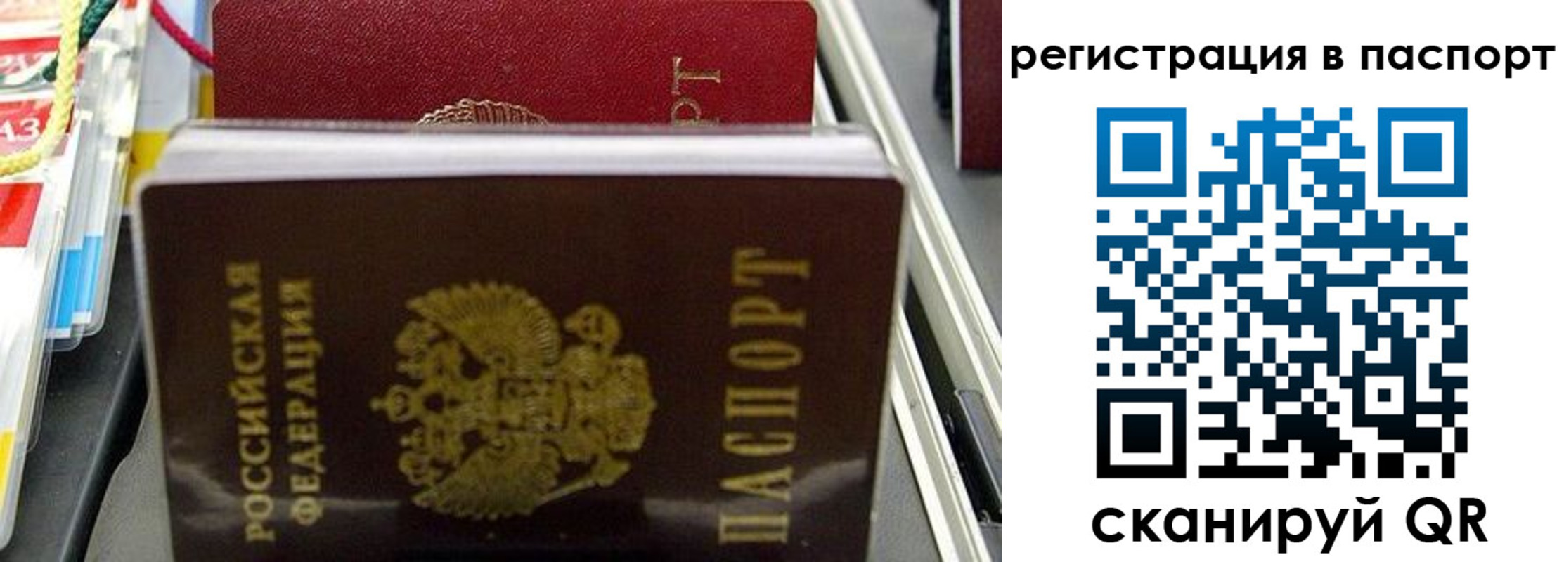 прописка для школы в Дятьково